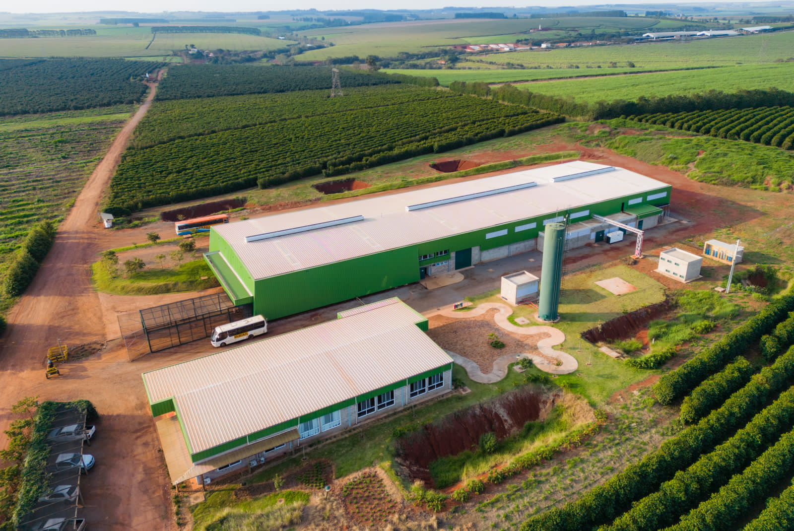Packing de Carlini Avocados.