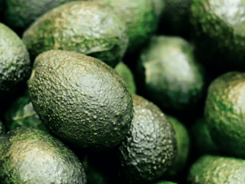 La World Avocado Association lanza campaña educativa en India para promover el consumo de aguacate