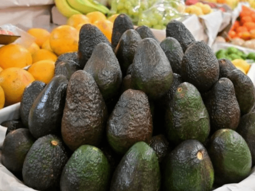 La historia de éxito que transformó el mercado de aguacates en EE.UU.