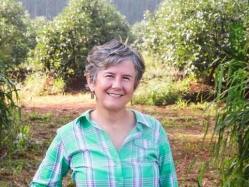 “En cinco años tendremos mucho más volumen de aguacate para ofrecer a los mercados desde Brasil”