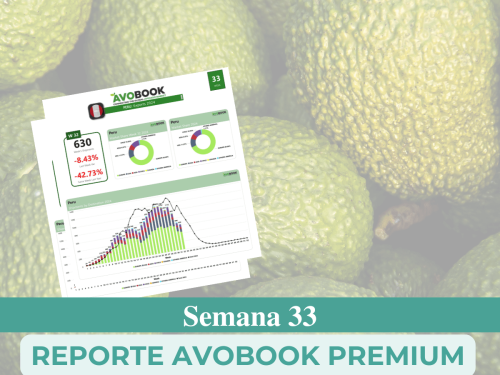 Se frena caída de los precios del aguacate en España después de cinco semanas a la baja