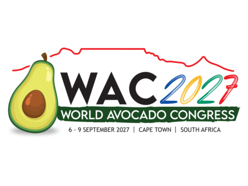 Sudáfrica será sede del World Avocado Congress 2027: Un encuentro global para la Industria del aguacate