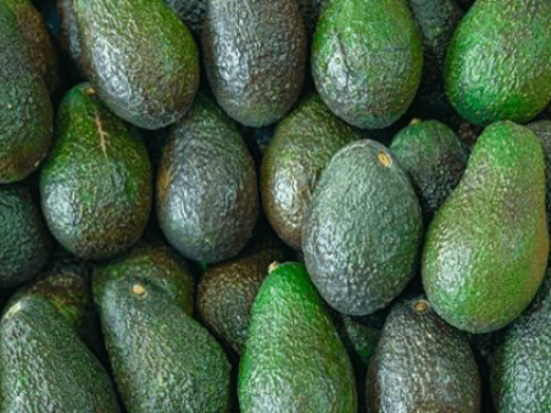 Perú reduce exportaciones de aguacate en un 10% pero logra precios más altos en 2024