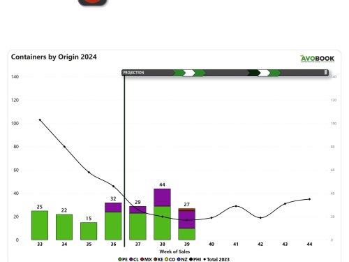 China empieza a abrir las puertas a Chile