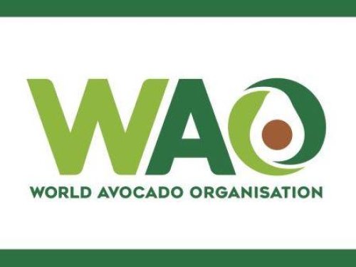 WAO proyecta crecimiento del consumo de aguacate en mercados tradicionales y emergentes