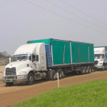 ¿Qué esperar del aguacate Hass colombiano?