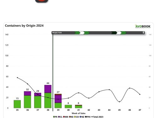 China recibe un 52% más de embarques de aguacates de Perú y Chile