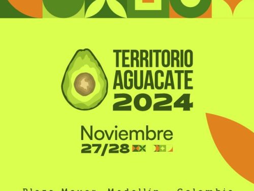 Networking, sostenibilidad y oportunidades en Territorio Aguacate 2024
