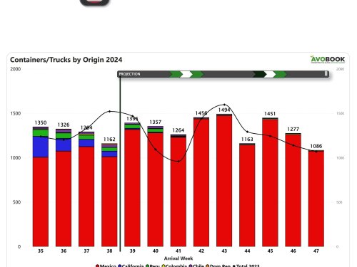 Estados Unidos los precios del aguacate al alza