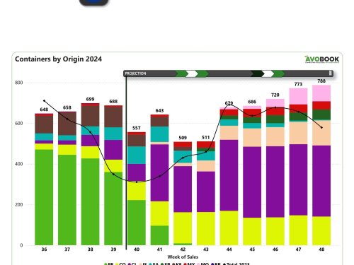 Aguacate Chile empieza a crecer en Europa