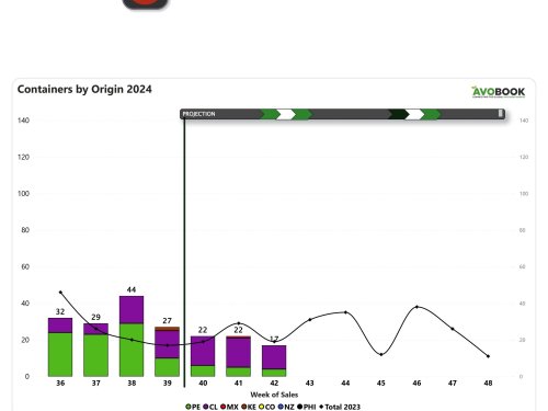 Volumen de aguacate arribado a China baja en un 39%