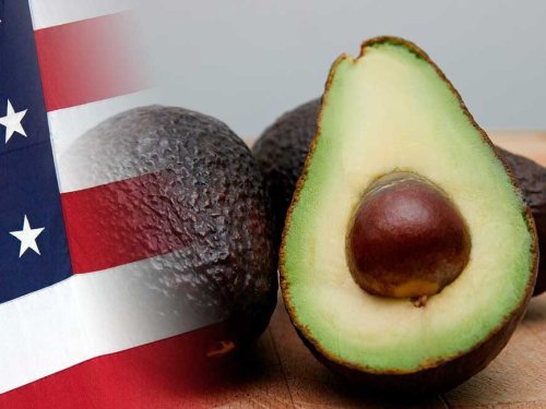 Estados Unidos acaparado por México