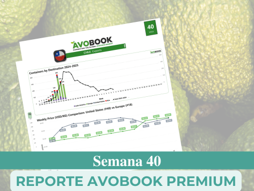 China muestra los precios semanales más bajos de los últimos 3 años en calibres grandes