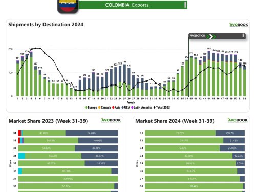 Colombia: Exportaciones de aguacate se enfocan en Europa con el 97.40% del volumen exportado en la semana 39