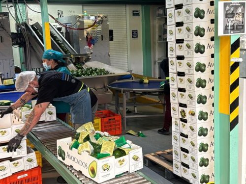 Claves de Baika para generar confianza en el mercado global