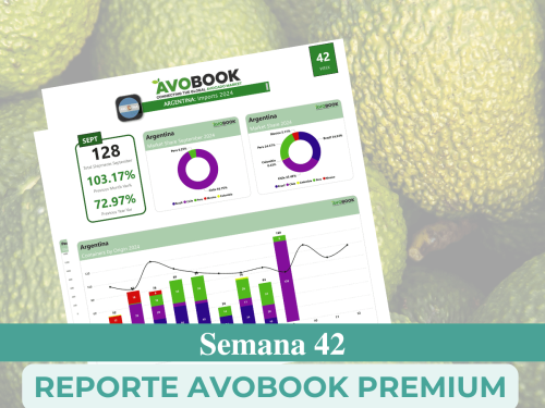 China recibe menos contenedores, pero con mejores precios para calibres 18 al 24