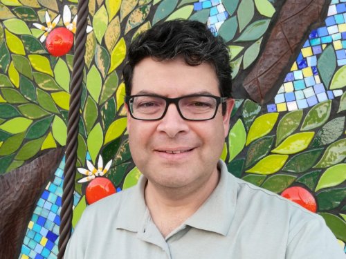 La renovación de huertos de aguacate en Chile: desde portainjertos hasta técnicas orgánicas en suelos