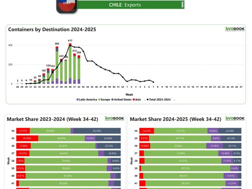 Exportaciones de Chile bajan y priorizan Europa