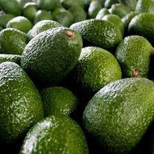 Foro virtual sobre el futuro del aguacate Hass guatemalteco en mercados internacionales