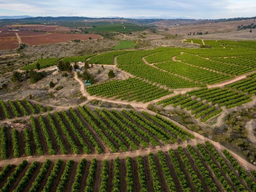 Baika: La clave para una relación de confianza con el mercado