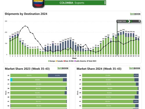 ¿Cómo irán creciendo los despachos de aguacates colombianos en las próximas semanas?