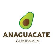 Aguacate Hass de Guatemala obtiene admisibilidad para su importación hacia Estados Unidad de America