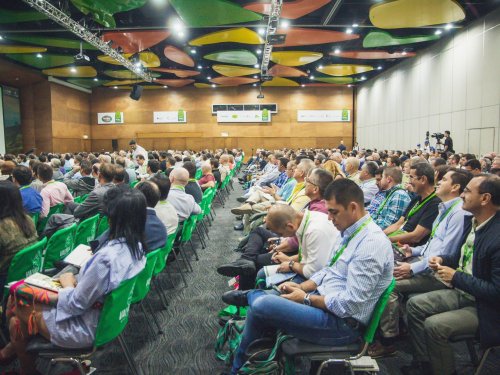 Con Territorio Aguacate, agroindustria del Aguacate Hass culmina un año de grandes logros en internacionalización, sostenibilidad y exportaciones