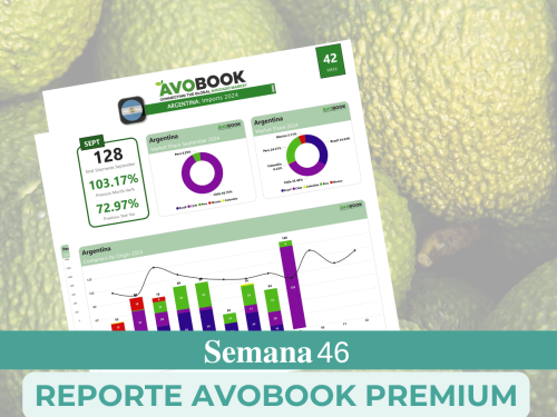 China sigue bajando precios para aguacates de calibre 18 al 24