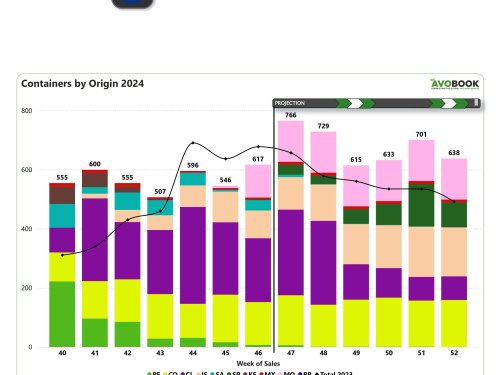 Aguacates de Marruecos comienzan a ganar espacio en Europa