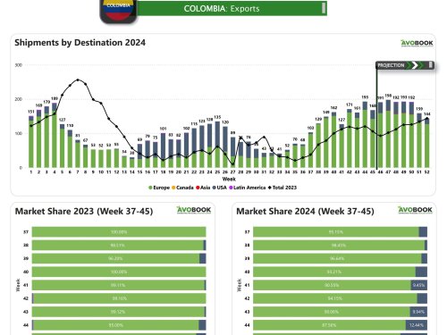 Baja porcentaje de aguacates exportados desde Chile y Colombia