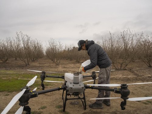 BioPollen Solutions: innovación y control total en la polinización asistida