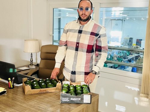 Aguacates marroquíes: El origen emergente que conquista Europa