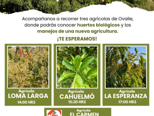 Ovalle se prepara para el "Día de Campo: Proyecto Allpa" una jornada con enfoque en huertos biológicos