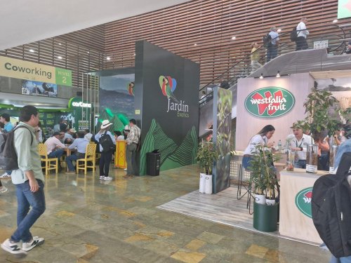 Territorio Aguacate 2024: el evento más esperado por la comunidad aguacatera en Colombia y América Latina