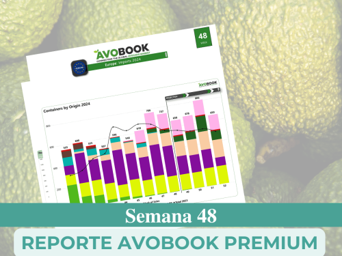 Ajustes en precios, estabilización de volúmenes y estrategias en medio de un juego de oferta y demanda