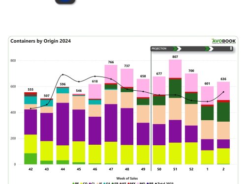 El mercado europeo de aguacates se ajusta con menos envíos desde Chile