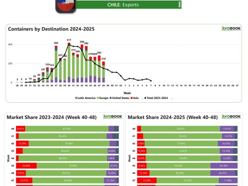 Fluctuaciones en China y exportaciones chilenas disminuyen, pero superan cifras de 2023