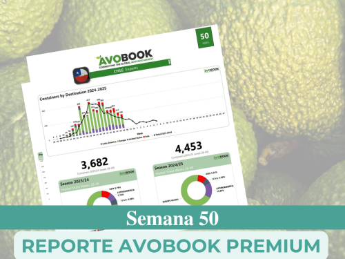 Estados Unidos: Importaciones de aguacate crecen un 4%, con México al frente y cambios en precios