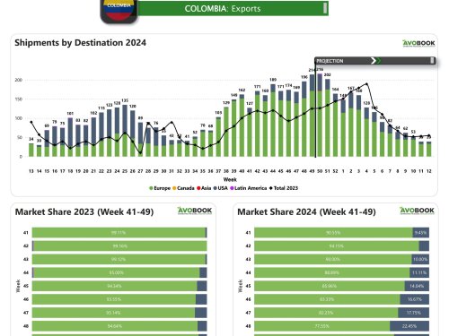 Colombia: Exportaciones de aguacate alcanzan un pico histórico en 2024