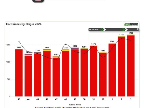 Descenso de envíos de aguacate marca la semana 50 en Estados Unidos