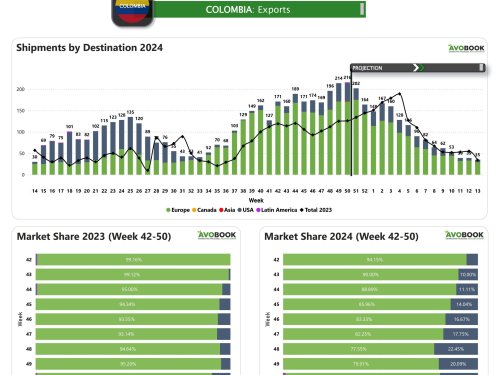 La semana 50 en Colombia cierra con récord de envíos: 250 contenedores superan expectativas