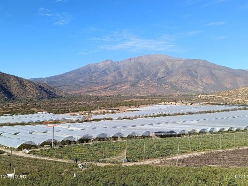 Baika Chile lidera con excelencia y sostenibilidad a través de certificaciones de clase mundial