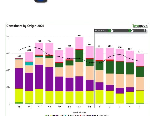Europa cierra el año con un mercado diversificado de aguacates