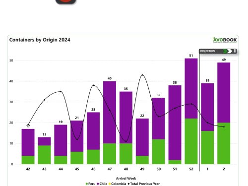 China cierra el año con un repunte inesperado en las importaciones de aguacate