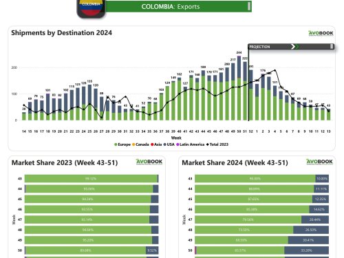 Colombia cierra la semana 51 con un descenso en las exportaciones de aguacate