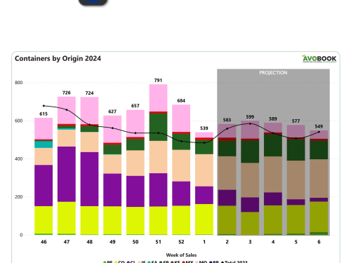 Un cierre de año marcado por bajas en el mercado europeo de aguacates