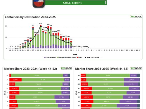 Europa lidera las exportaciones chilenas de aguacate al cierre de la temporada