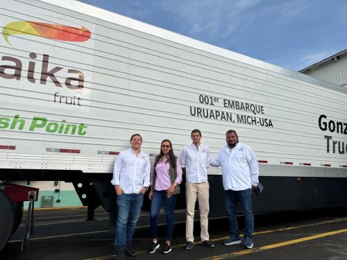 Baika México: Liderazgo en la exportación global de aguacates a través de innovación y estrategia
