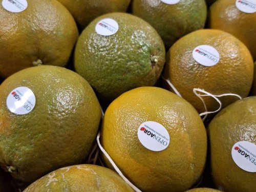 El aguacate tropical y la naranja chocolate: apuestas exóticas en Les Halles du Verger
