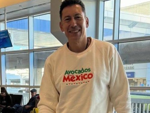 Temporada 2024-25 de aguacate mexicano: ¿Cómo avanza el gigante?